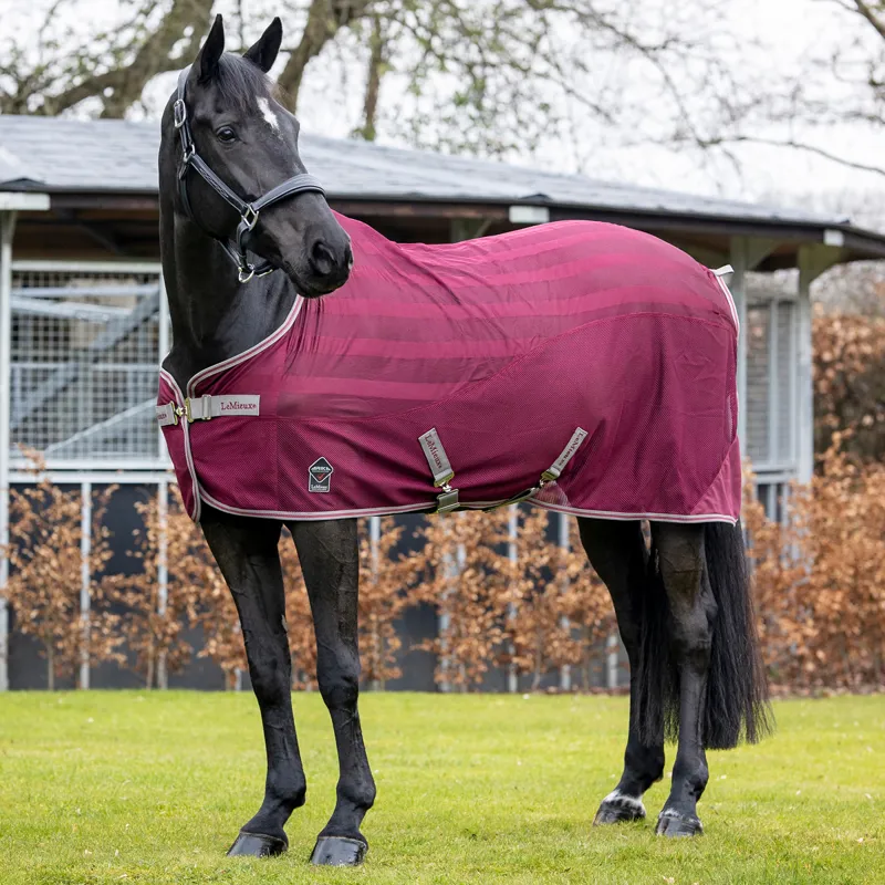 LeMieux Arika Air-Tek Sheet in Burgundy